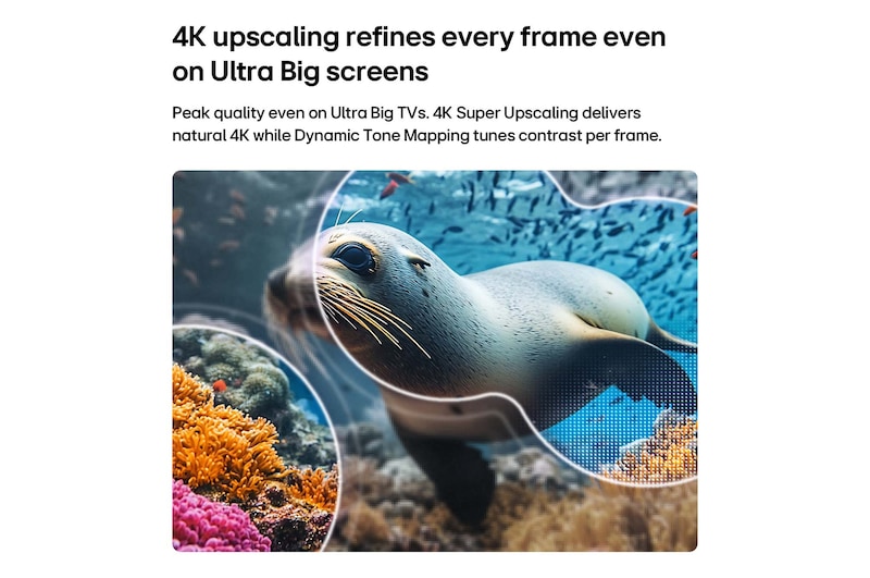LG NANO 4K UHD AI nu70 with 4K Super Upscaling and Dynamic Tone Mapping shows an underwater scene of a sea lion, as AI recognizes and upscales each frame up to 4K resolution.